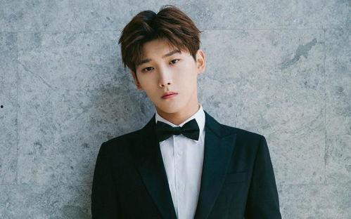 邢昭林狗仔爆料视频在线观看,揭秘娱乐圈幕后真相  第2张